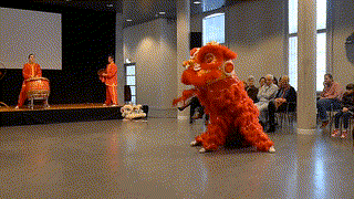 Ar7_Da_Chinese Lion Dance
