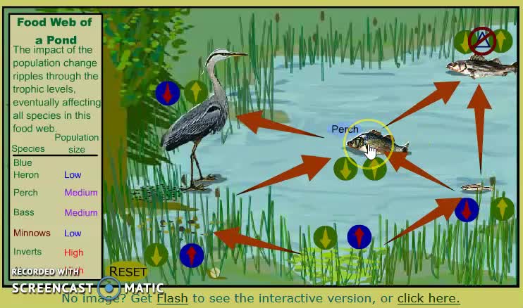 EnvSci20_T1_L3-2_V02-Food Web interactions