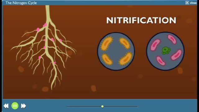 EnvSci20_T2_L10-2_V02