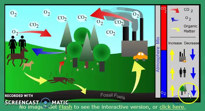 EnvSci20_T1_L3-2_V04-Carbon-Cycle