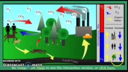 EnvSci20_T1_L3-2_V04-Carbon-Cycle