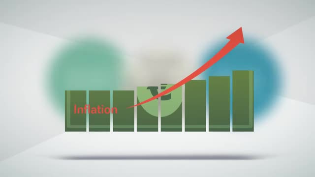 FinLit30_U4_L29B_V01-Basics of Investing