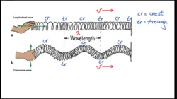 PS20-PW1-L5-1-V02-Parts of a Wave